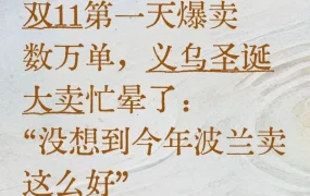 市场趋势｜波兰爆发｜圣诞大卖｜双11首日2万单｜2025-11-17