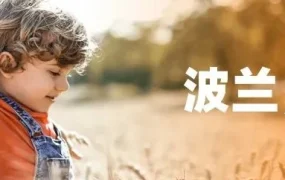 市场趋势｜速卖通波兰市场崛起：女性消费与物流优势