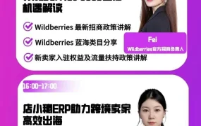 政策规则｜Wildberries 2025跨境店开放，新卖家入驻机遇与挑战并存