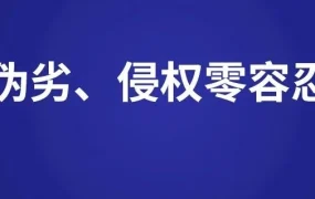 政策规则｜亚马逊成立全球打假团队，卖家需警惕侵权与售假风险