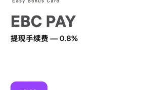 服务动态｜Wildberries加入新支付系统EBC PAY，提现手续费0.8% 2026年5月15日