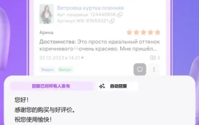 服务动态｜Wildberries推出AI自动回复买家评价工具，评分设置+智能推荐提升卖家效率