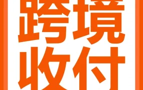 服务动态｜亚马逊推两款收付神器：新手自动回款，老手锁汇付 VAT 省汇损