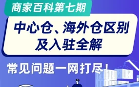 物流动态｜Lazada中心仓与海外仓区别及入驻全解：年中大促备货高峰期物流方案全攻略