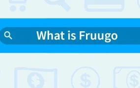 福利信息｜Fruugo欧洲物流解决方案 9折运费 1月28日直播