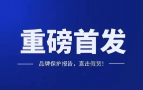 资料发布｜亚马逊2020品牌保护报告：7亿美元投入拦截100亿件不良商品