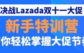 运营指导｜Lazada双十一新手特训营揭秘大促全周期备战技巧