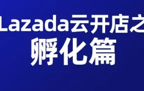 运营指导｜Lazada新手孵化营｜Flexi combo+包邮+GC流量攻略，助你实现日出百单