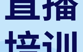运营指导｜PLP旺季转化实战指南：库存规划+匹配类型+促销政策全解析