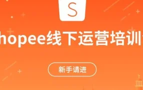 运营指导｜Shopee新手卖家培训会：3个月快速成长秘籍