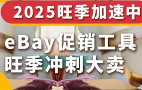 运营指导｜eBay德国站旺季攻略：折扣清晰、时效强化、广告策略优化