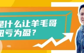 运营指导｜亚马逊卖家‘羊毛哥’：从亏损百万到新品5天成爆款，数据驱动选品与广告策略