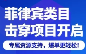 运营指导｜双12巅峰训练营开营｜菲律宾类目击穿项目启动，卖家如何抓住旺季流量红利？
