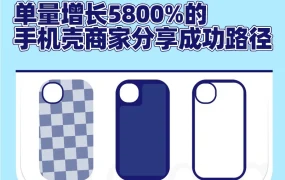 运营指导｜手机壳商家月单量增长58倍，风格化运营与赠品策略成东南亚市场破局关键