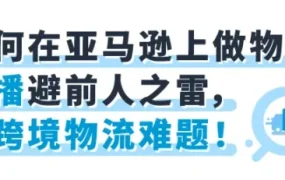 运营指导｜新卖家低成本跨境配送指南：FBA新选品计划与泛欧物流方案