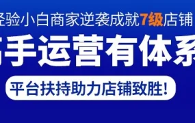 运营指导｜新商家0经验逆袭7级店铺，一招吸粉翻5倍，揭秘Lazada成功打法