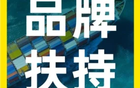 运营指导｜美客多品牌新星计划启动，助力中国品牌深耕拉美市场