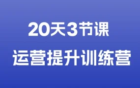 运营指导｜运营提升训练营｜跨境电商卖家效能飞跃加速器