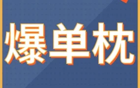 通知公告｜Shopee官网维护通知｜跨境卖家需关注临时链接与公众号更新